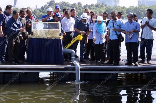 PTJ22_05102017_LEPAS_IKAN