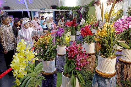 DATUK SERI DR WAN AZIZAH WAN ISMAIL