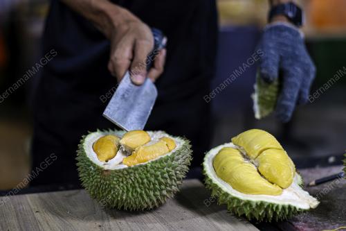 EZYDURIAN