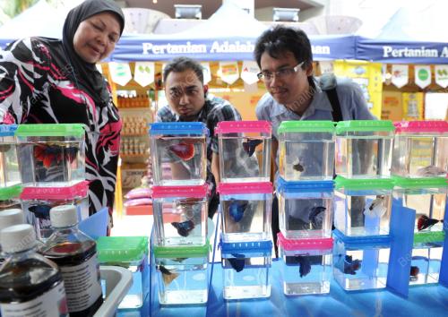 PTJ22_24052012_BELIA4