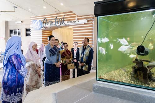 DATUK SERI DR WAN AZIZAH WAN ISMAIL