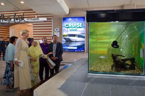DATUK SERI DR WAN AZIZAH WAN ISMAIL