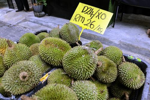 EZYDURIAN