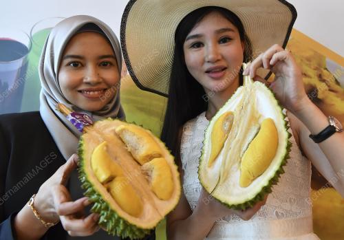 PTJ23_17062019_DURIAN_BN201906142061