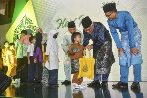 DATUK SERI HAMZAH ZAINUDDIN