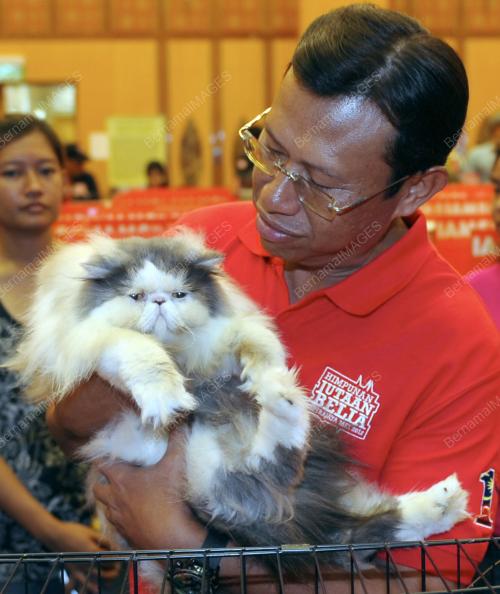 PTJ23_27052012_KUCING