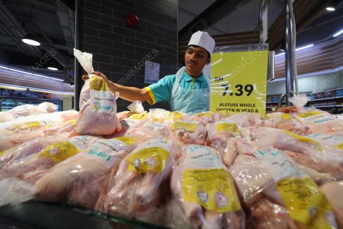 TINJAUAN HARGA AYAM
