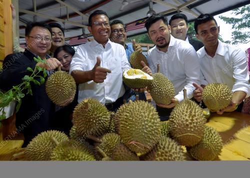 PTJ24_13092017_DURIAN