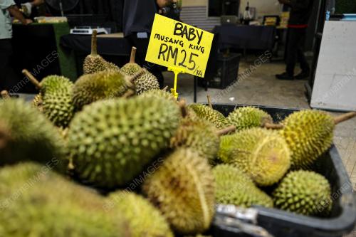 EZYDURIAN