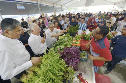 PTJ24_17032016_MyFarm