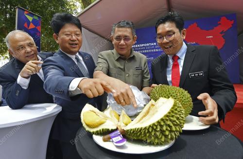PTJ24_17062019_DURIAN_BN201906142061