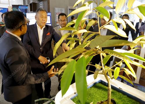 DATUK SERI RAMLAN HARUN