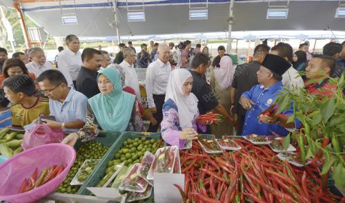 PTJ25_17032016_MyFarm