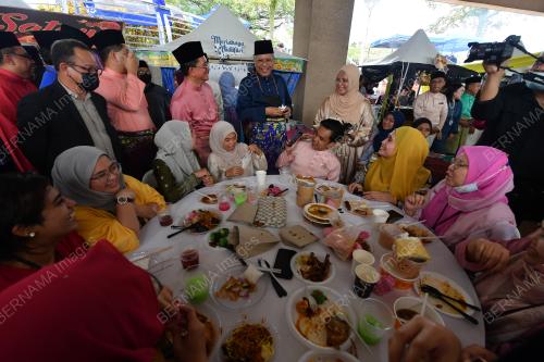 TAN SRI ANNUAR MUSA
