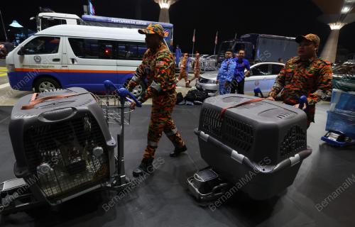 PASUKAN MENCARI DAN MENYELAMAT