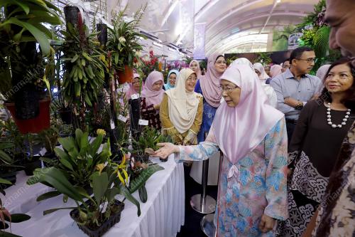 DATUK SERI DR WAN AZIZAH WAN ISMAIL