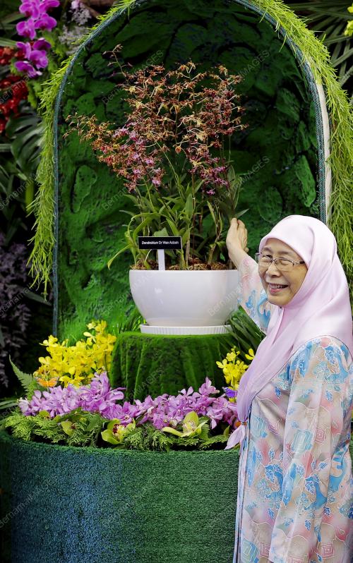 DATUK SERI DR WAN AZIZAH WAN ISMAIL