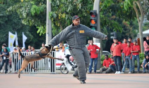 PTJ27_25052012_HARI_BELIA