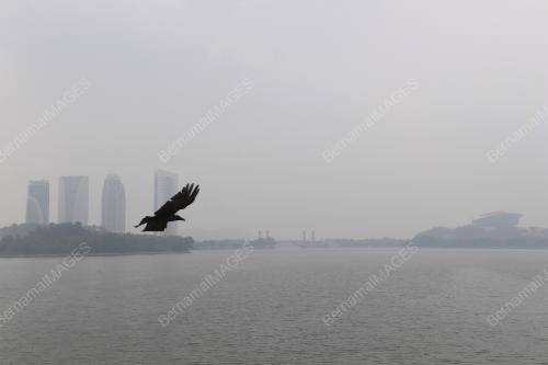PTJ28_17082018_JEREBU