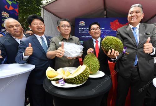 PTJ29_17062019_DURIAN_BN201906142061