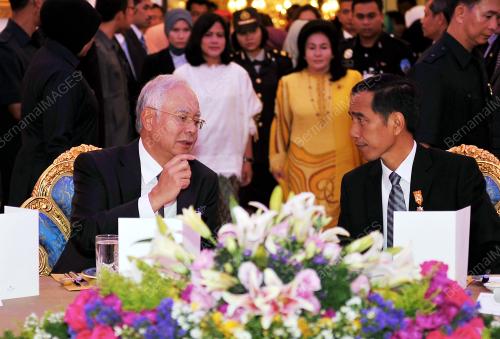 PTJ30_06022015_JOKOWI