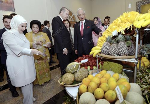 PTJ31_10012014_PM_TURKI