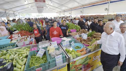 PTJ33_17032016_MyFarm