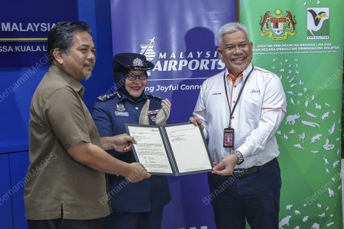 MOHD ARIF JAAFAR