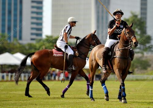 PTJ34_20102016_POLO