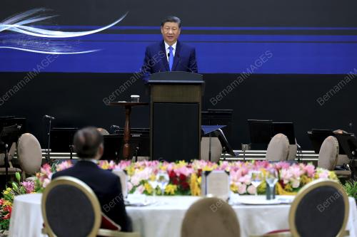 XI JINPING