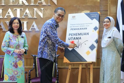 DATUK SERI DR DZULKEFLY AHMAD