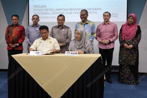 DATUK SERI DR DZULKEFLY AHMAD