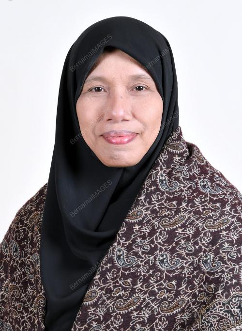DATUK SITI ZAILAH MOHD YUSOFF
