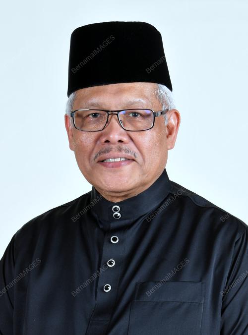 DATUK SERI HAMZAH ZAINUDDIN