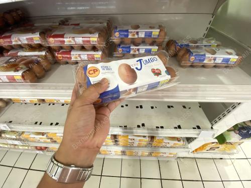 TELUR