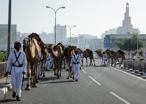 PENGAWAL UNTA AMIRI DIWAN