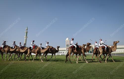 PENGAWAL UNTA AMIRI DIWAN