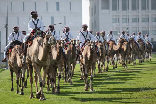 PENGAWAL UNTA AMIRI DIWAN