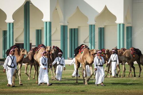 PENGAWAL UNTA AMIRI DIWAN
