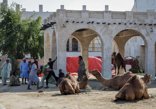 PENGAWAL UNTA AMIRI DIWAN