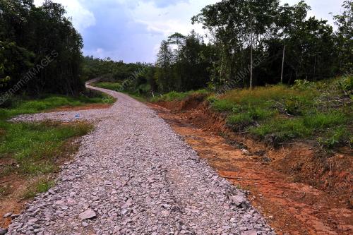 S02_23012018_RAMBUTAN_ANAK_SEKOLAH