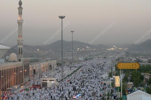 SAU01_14102013_ARAFAH