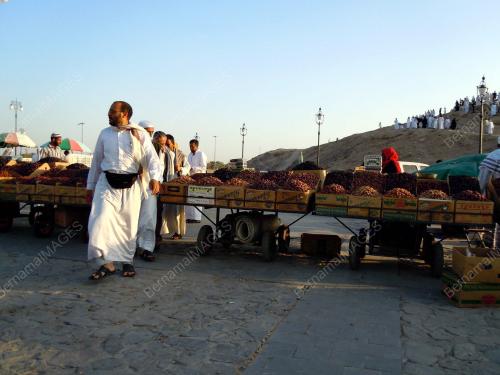 ZIARAH DI KOTA MADINAH