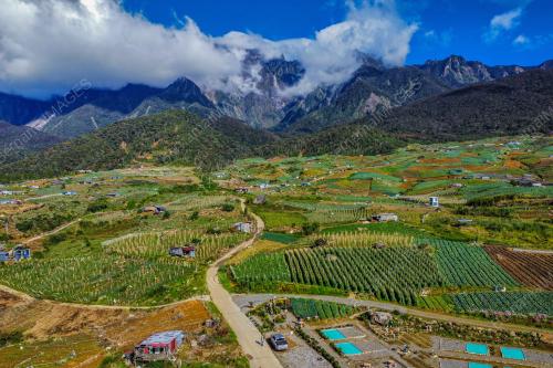 KUBIS DI TANAH KUNDASANG