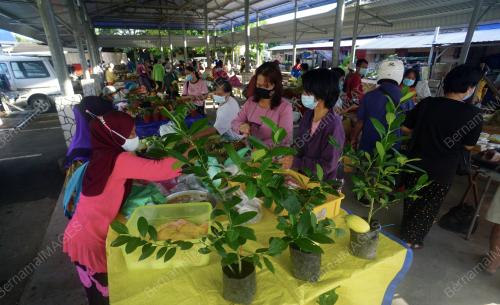 TAMU KIULU MASA PKP