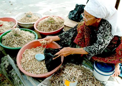 SB01-18_10_2000_IKAN_BILIS_14012016