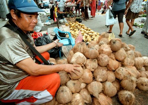 SB01-26_07_2001_KELAPA_TUA_28012016