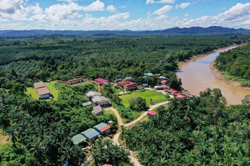 KINABATANGAN_BALAT
