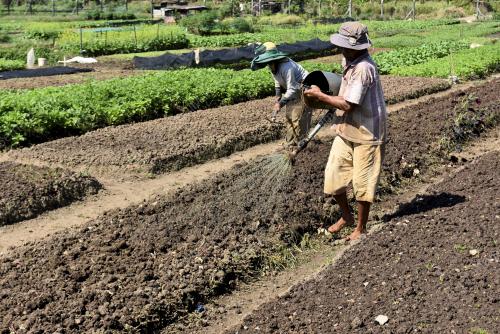 SB01_01032019_SAYUR