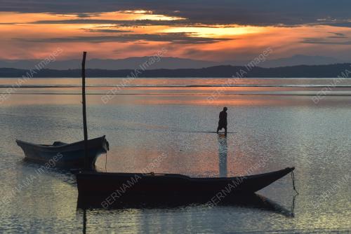 SINAR BAHARU FASA PERALIHAN KE ENDEMIK